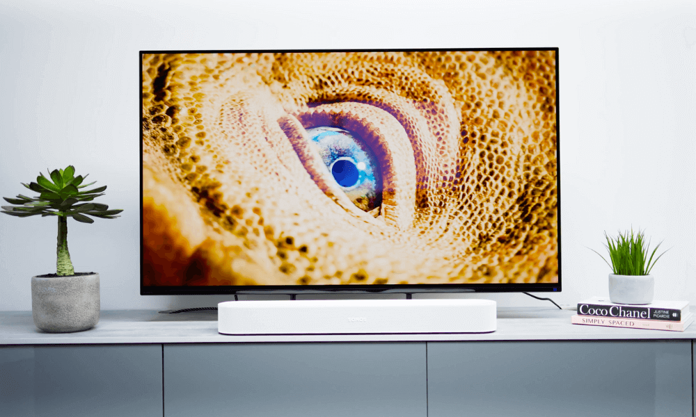 Sony A90K SHS Lifestyle Living Room Animal Background Sony A90K SHS Lifestyle Living Room Animal Background